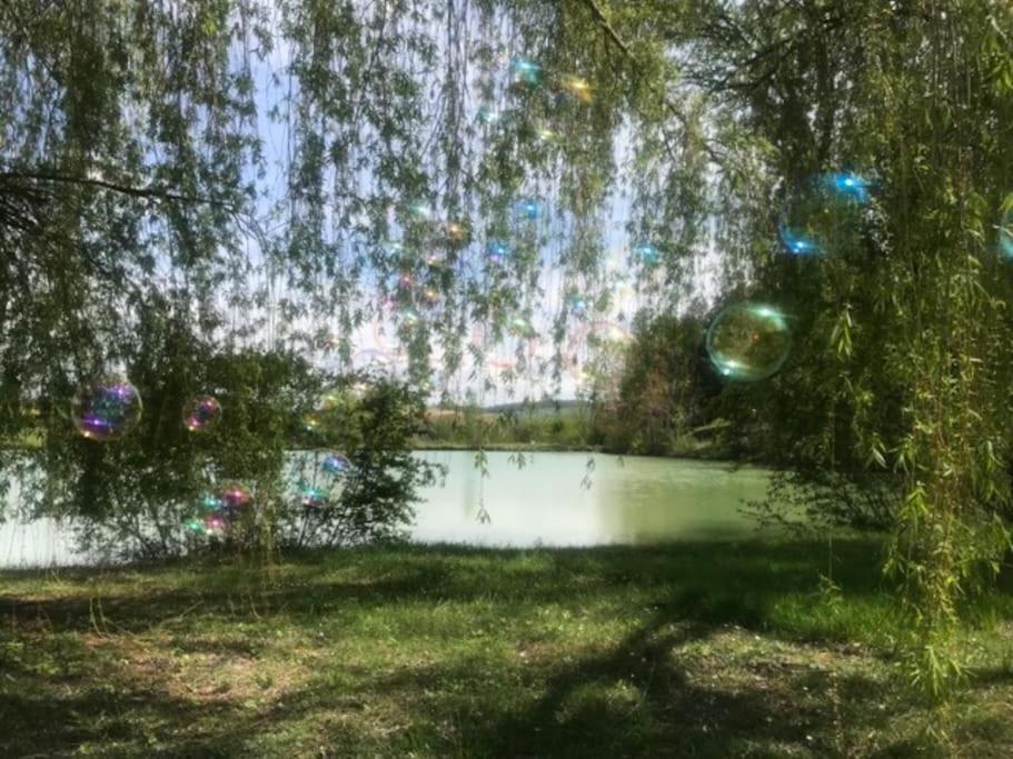 Chalet Au Milieu De La Foret Avec Lac A Proximite Layrac Kültér fotó